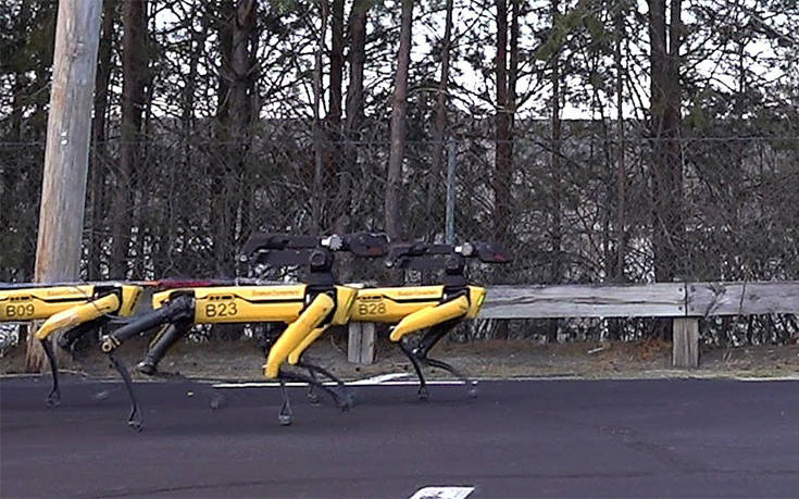 Πώς συνεργάζονται δέκα ρομπότ για να ρυμουλκήσουν ένα φορτηγό – Newsbeast