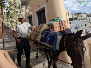 santorini tours